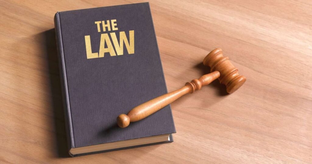 Appealing A Denial Of Asylum Due To Criminal Activity